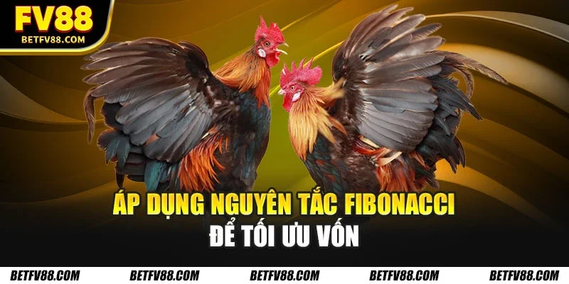 Các Chiến Lược Cá Cược Đá Gà Tối Ưu Giúp Bạn Thắng Lớn 2 Áp dụng nguyên tắc Fibonacci để tối ưu vốn
