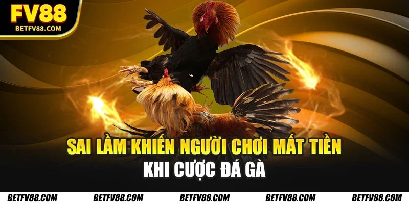 Các Chiến Lược Cá Cược Đá Gà Tối Ưu Giúp Bạn Thắng Lớn 3 Sai lầm khiến người chơi mất tiền khi cược đá gà